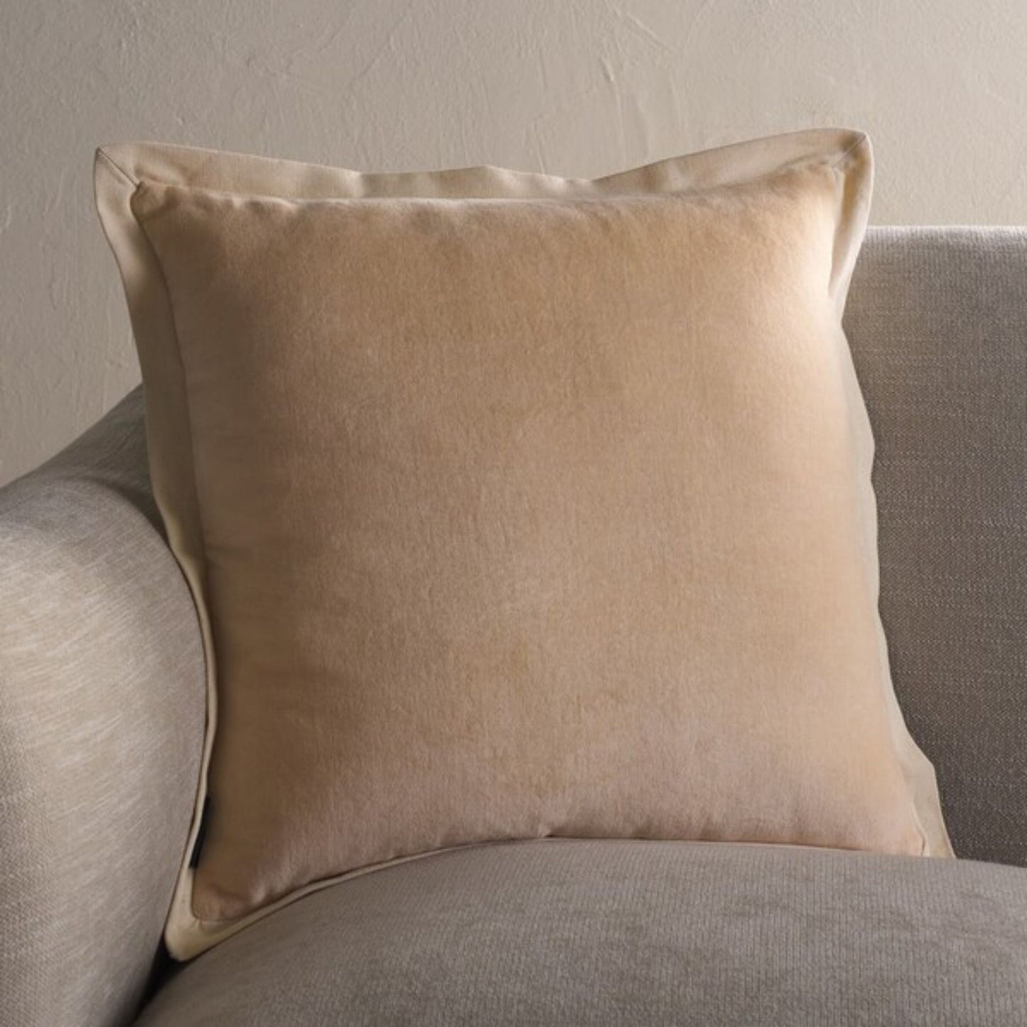 Jordy Pillow